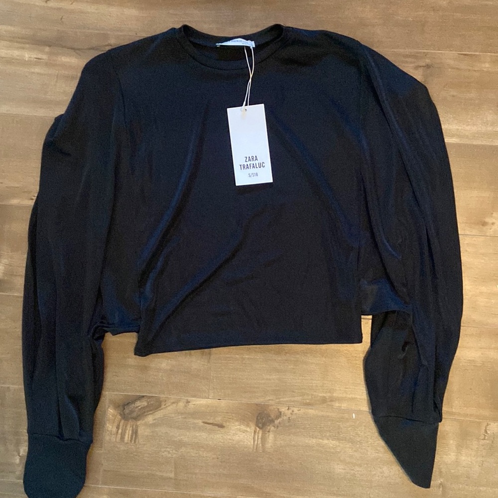Zara sheer crop top